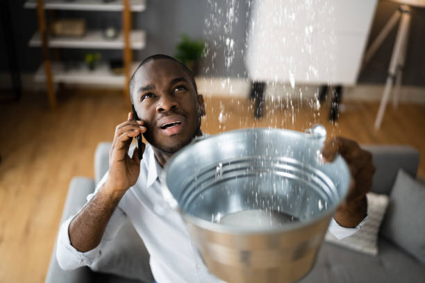  Nashville, MI Water damage restoration Pros