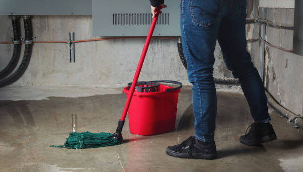 Best Water damage contractors near me  in Nashville, MI