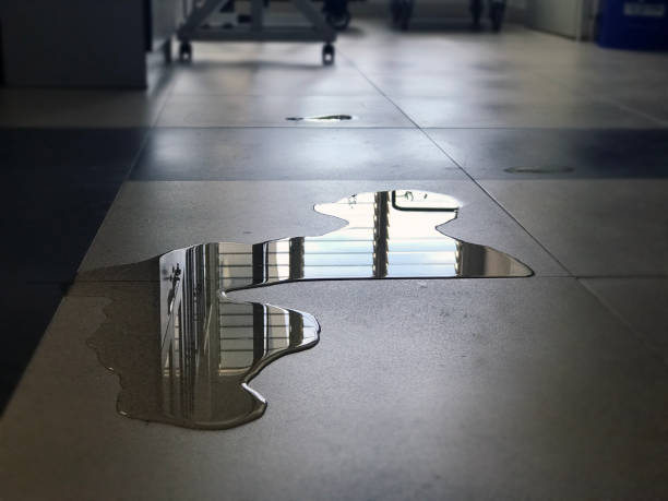Best Water damage restoration near me  in Nashville, MI