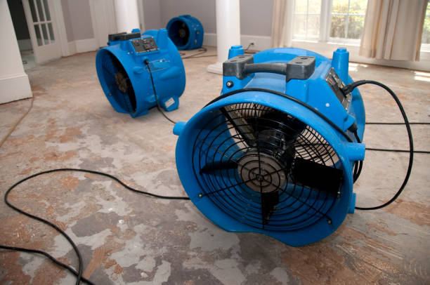 Best Carpet water damage restoration  in Nashville, MI