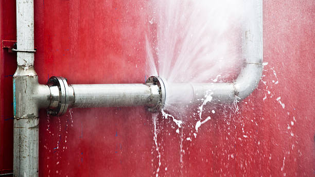 Best Water damage restoration near me  in Nashville, MI